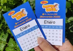 Para emprendedores